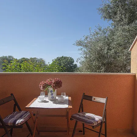 Wild Ocean Apartamento