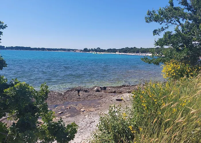 Appartement Wild Ocean