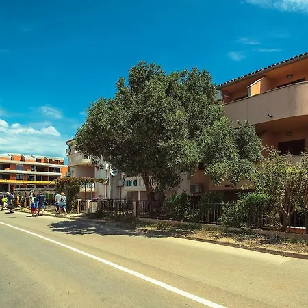 아파트 Wild Ocean 메덜린