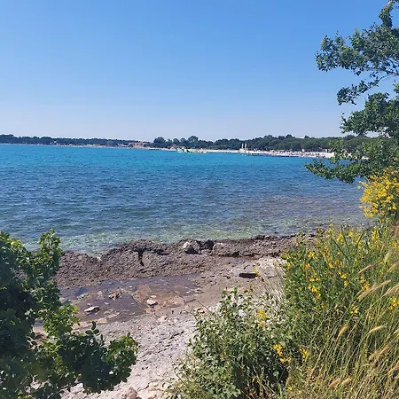 Apartamento Wild Ocean