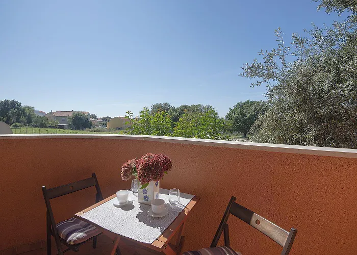 Wild Ocean 아파트 *